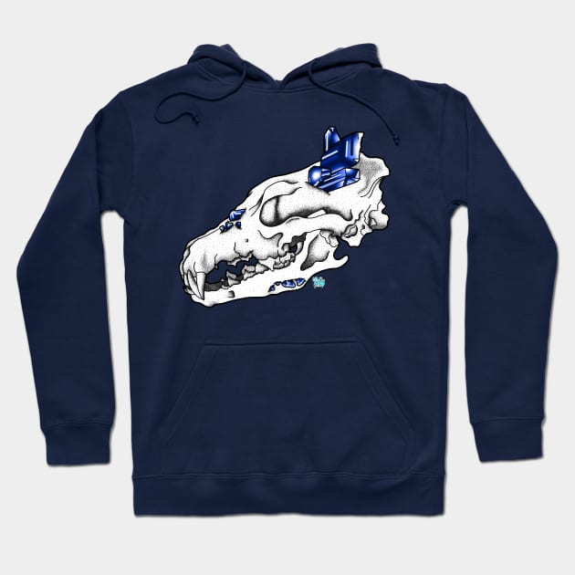 Coyote x Sapphire Hoodie by ColorMix Studios